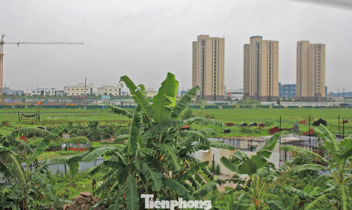 Sở Tài nguyên và Môi trường tỉnh Bắc Giang vừa công khai danh sách 12 tổ chức, dự án vi phạm về đất đai trên địa bàn tỉnh. (Ảnh: Lộc Liên)