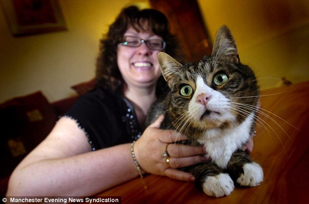 Chú mèo Oliver chính là ... thủ phạm của vụ mất đồ trang sức 