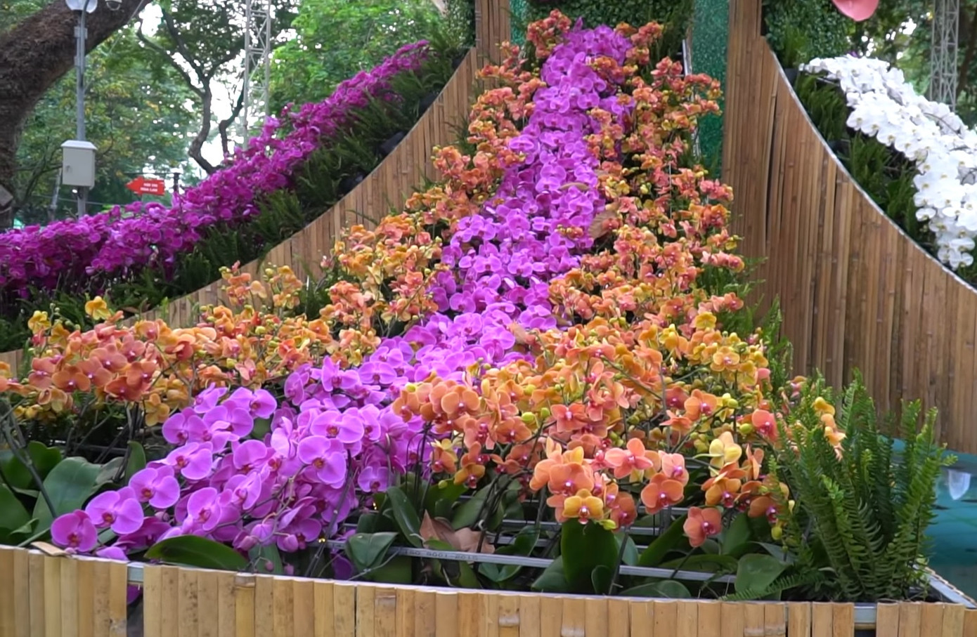 Một tháp hoa lan tại Festival Hoa lan lần thứ nhất do TPHCM tổ chức vào năm 2019