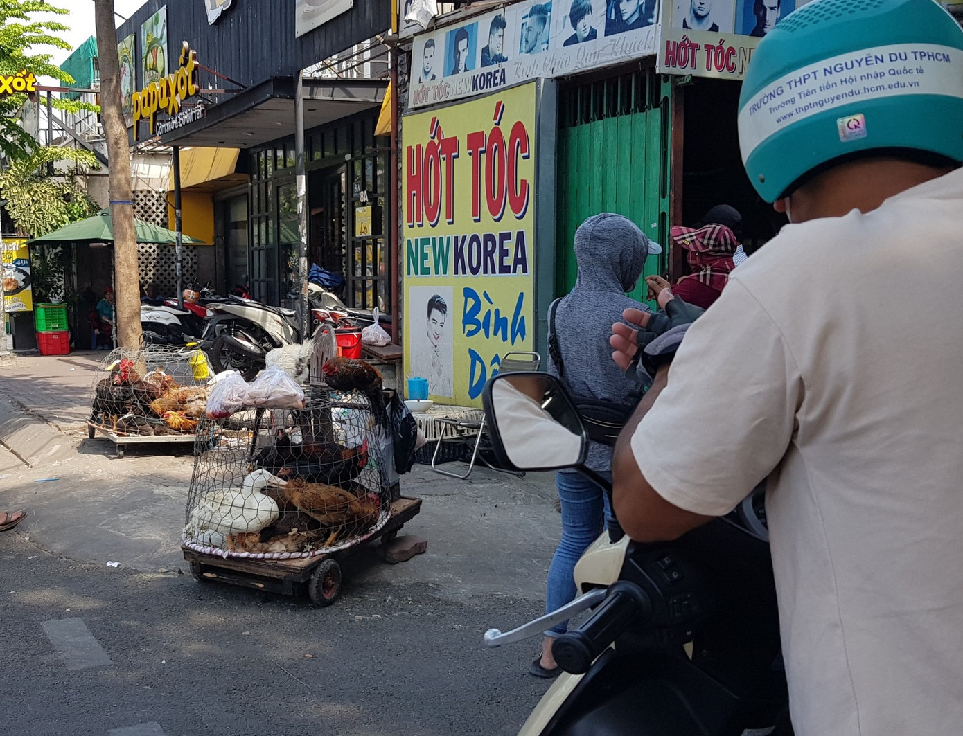 Gia cầm được đặt trên những chiếc xe tự chế có bánh lăn để người bán cơ động tẩu tán khi lực lượng chức năng kiểm tra