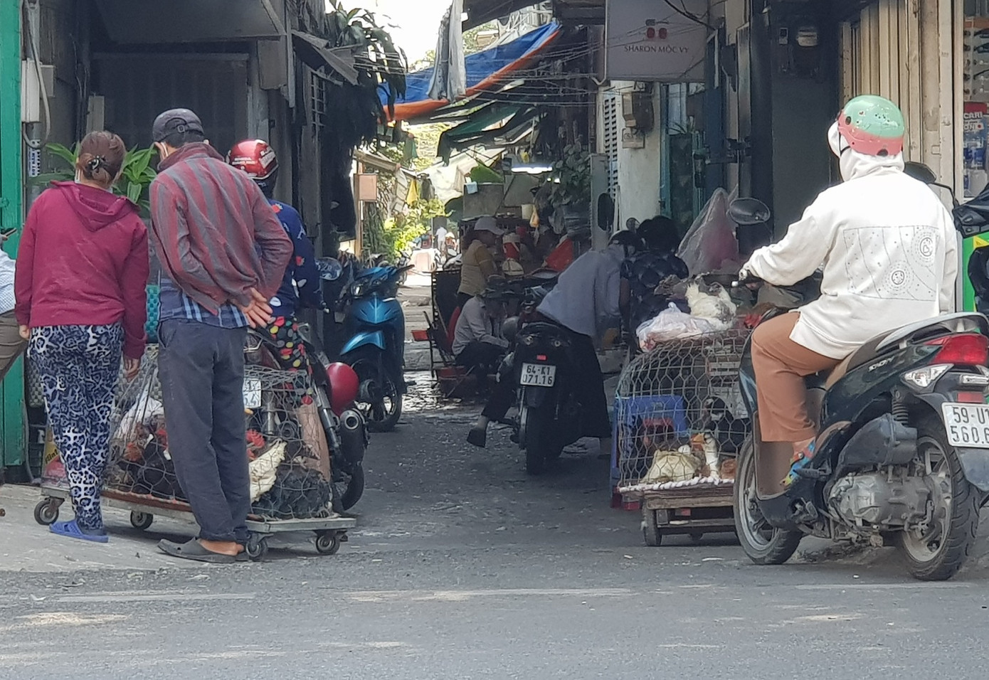 Con hẻm gần hồ bơi Hòa Bình, huyện Bình Chánh biến thành điểm kinh doanh, giết mổ gia cầm lậu