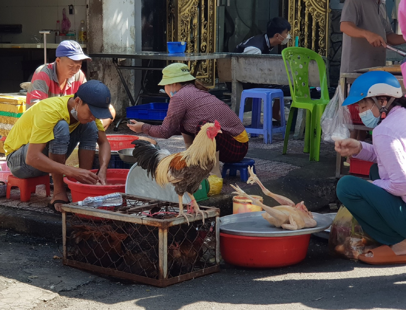 Gia cầm sống và làm thịt sẵn được bán trên đường Đào Cam Mộc, gần chợ Phạm Thế Hiển (quận 8)