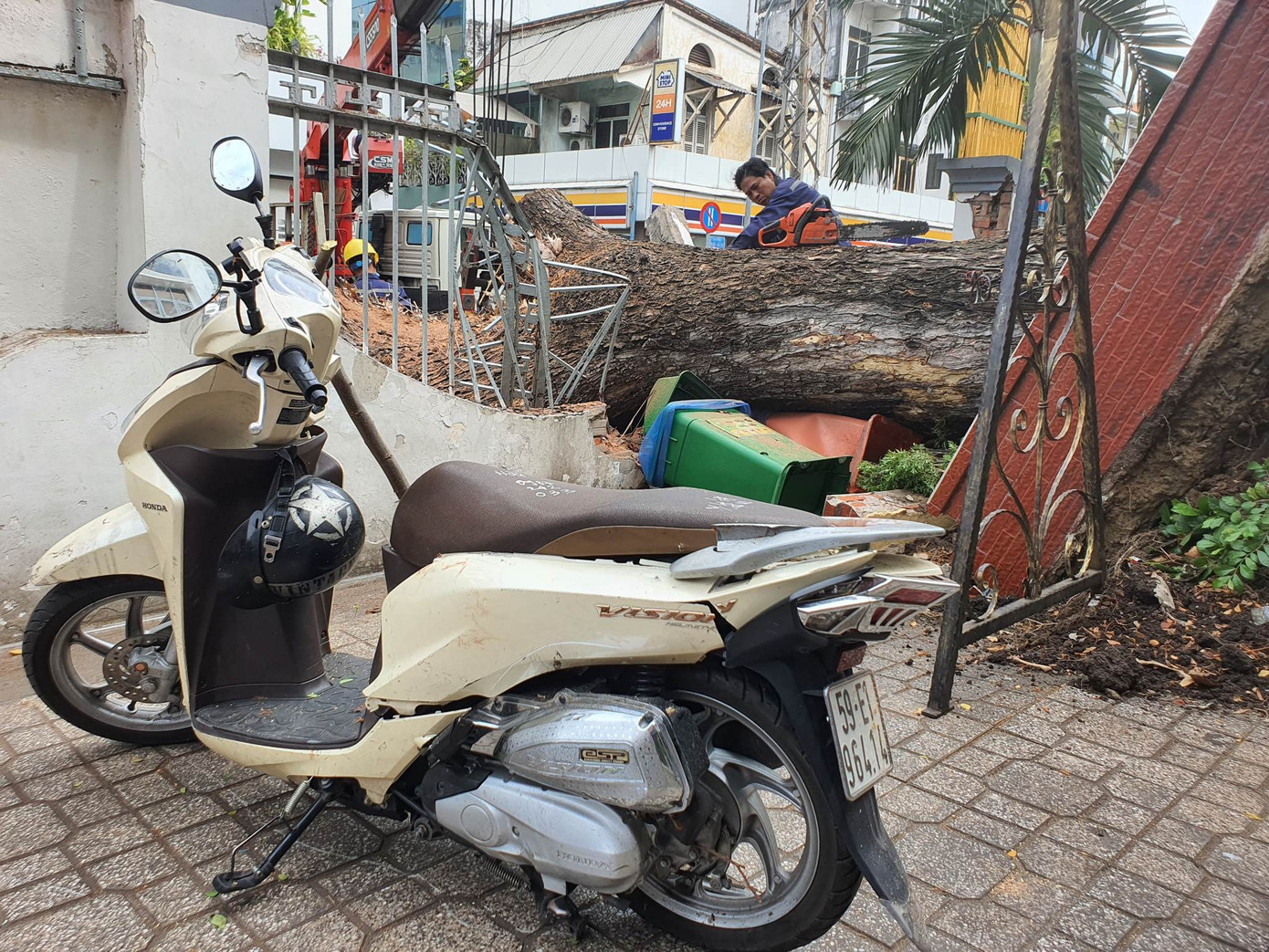 Hiện trường vụ cây cổ thụ bật gốc đè nhiều người tại Trường THCS Trần Văn Ơn (Ảnh: Nguyễn Dũng)