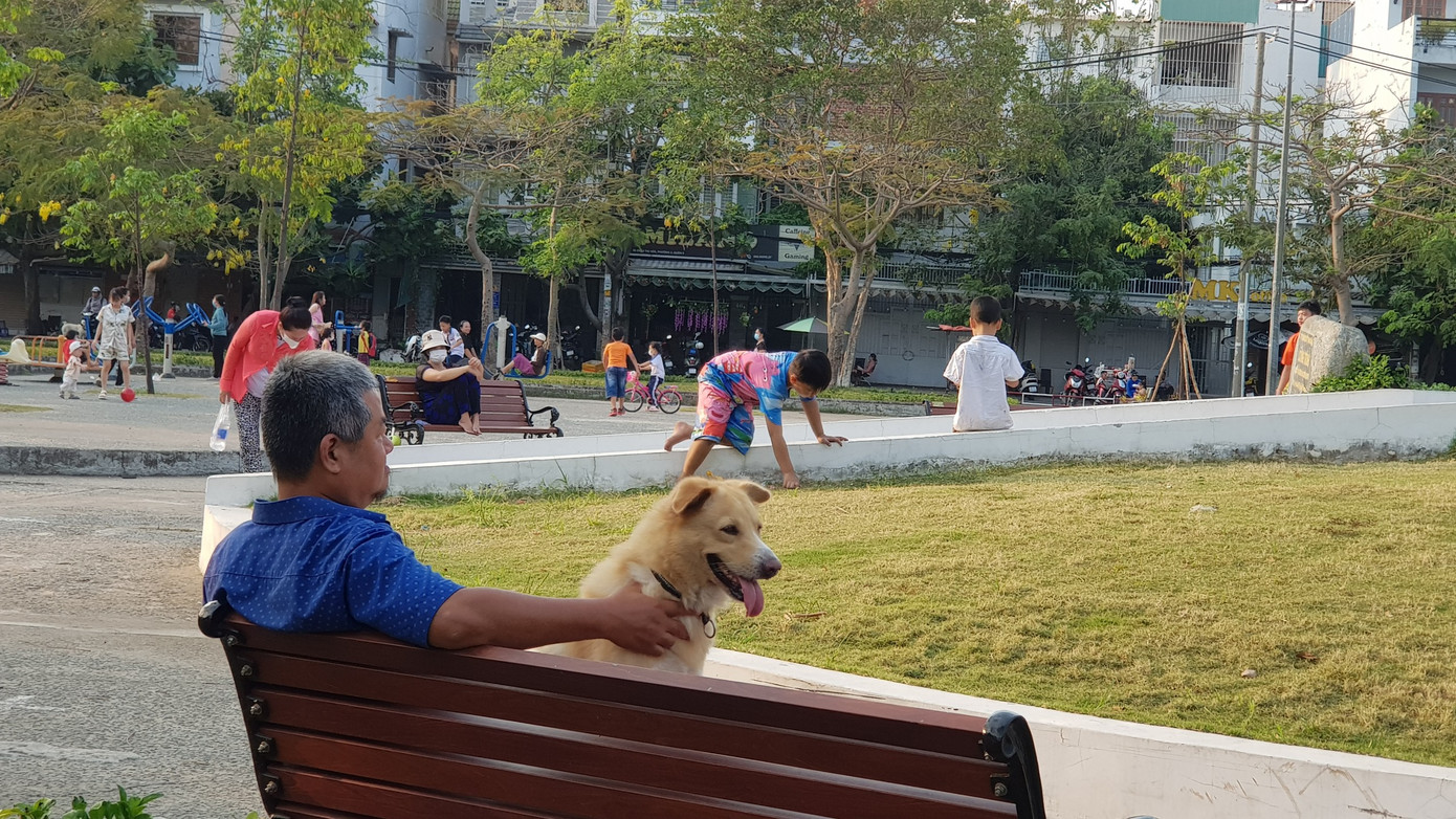 Những con chó lớn không được rọ mõm thả rông trong công viên bên cạnh những đứa trẻ có thể trở thành mục tiêu bị tấn công