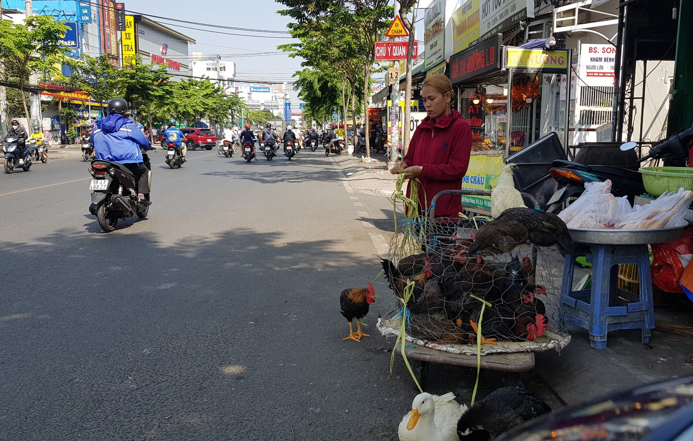 Nhiều điểm bán gia cầm sống lấn chiếm cả lòng đường, vỉa hè trên đường Phạm Hùng, khu vực giáp ranh Quận 8 và huyện Bình Chánh