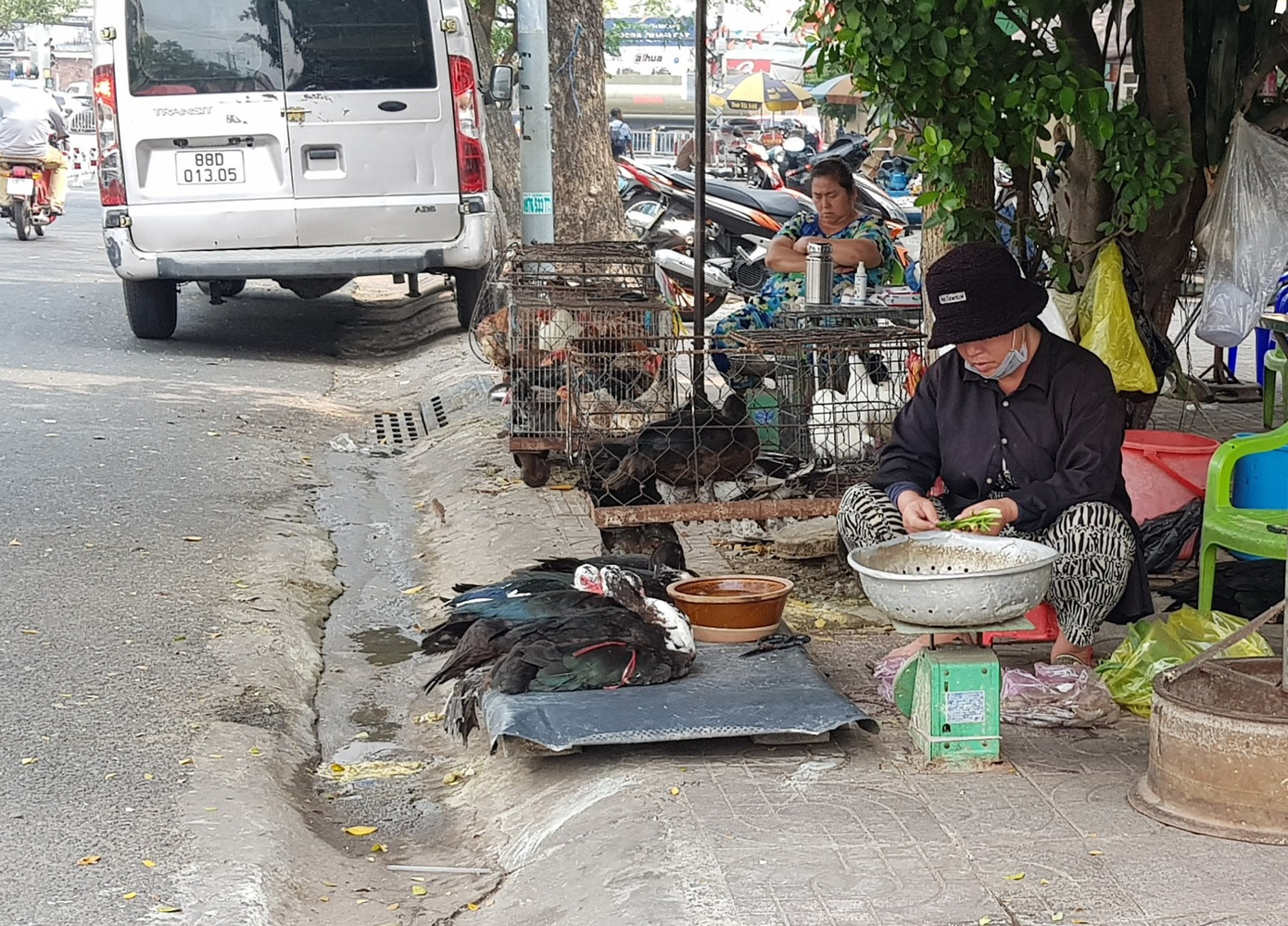 Điểm bán gia cầm trên vỉa hè đường Lê Văn Linh, quận 4 (gần chợ Xóm Chiếu)