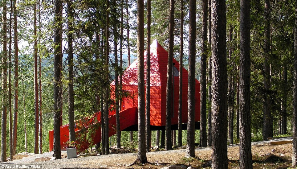 Thiết kế nổi bật giữa rừng thông