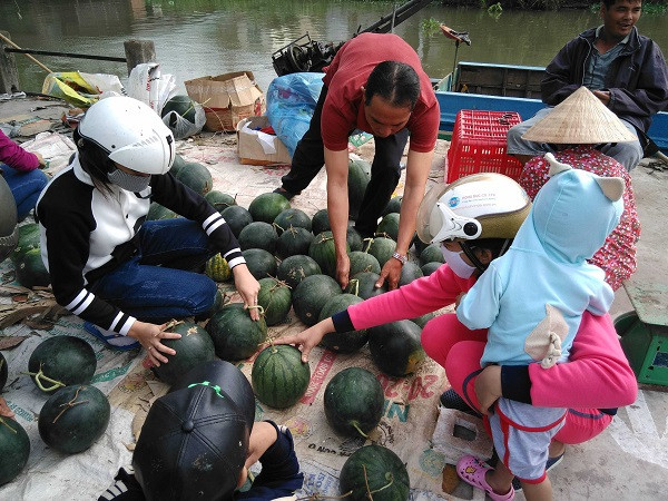 Hoa, dưa hấu chợ Tết vùng sâu đắt như tôm tươi ảnh 2