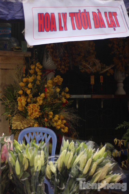 Hoa ly ngập chợ vẫn đắt như tôm tươi ảnh 6