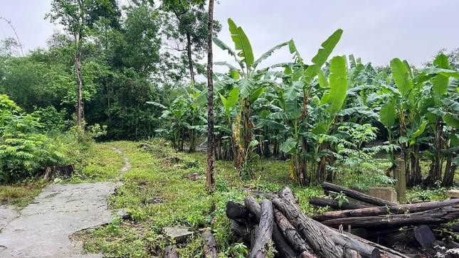 Lô đất "làng" nằm ở tuyến đường nhỏ xuống cấp, xa trung tâm TP Huế hàng chục km, được ghi giá đấu khởi điểm 45 triệu đồng/m2 gây choáng Lô đất "làng" nằm ở tuyến đường nhỏ xuống cấp, xa trung tâm TP Huế hàng chục km, được ghi giá đấu khởi điểm 45 triệu đồng/m2 gây choáng