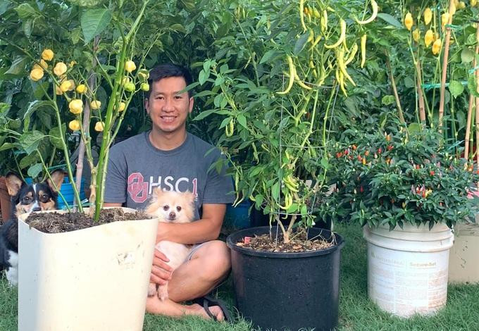 Anh Nhân trồng ớt trong các thùng loại lớn, kích cỡ 17 lít (Ảnh: NVCC) Anh Nhân trồng ớt trong các thùng loại lớn, kích cỡ 17 lít (Ảnh: NVCC)