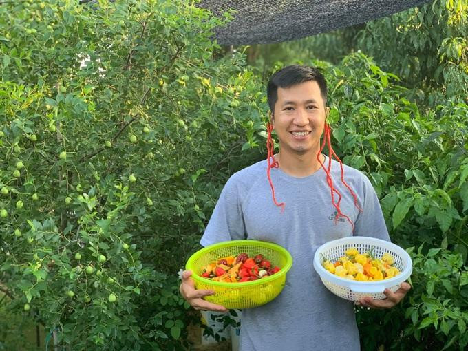 Anh Nhân thu hoạch những giống ớt độc lạ trong khu vườn (Ảnh: NVCC) Anh Nhân thu hoạch những giống ớt độc lạ trong khu vườn (Ảnh: NVCC)