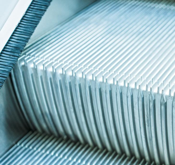 Chúng ta cứ hay đưa giày vào cái chổi này nhưng sự thật là không nên đưa giày đến gần chúng đâu! Chúng ta cứ hay đưa giày vào cái chổi này nhưng sự thật là không nên đưa giày đến gần chúng đâu!