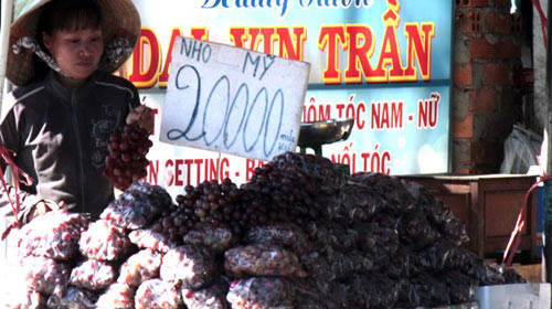 "Nho Mỹ", giá Trung Quốc (ảnh Tuổi Trẻ).