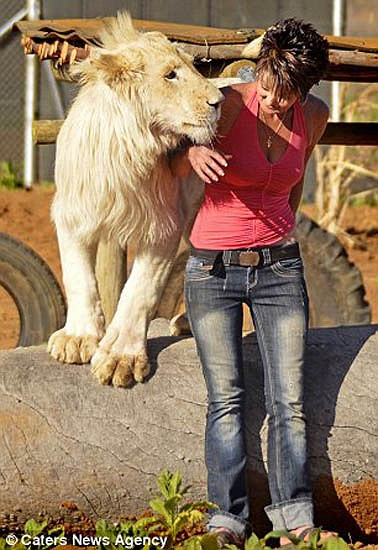 Tình yêu của Annel bắt đầu cách đây 6 năm, khi cô giúp mẹ mở một nhà khách mang tên Loebies Guestfarm. Cô đã nghĩ ra cách nuôi thú cưng để thu hút thật nhiều du khách ghé qua nghỉ chân tại nhà mình