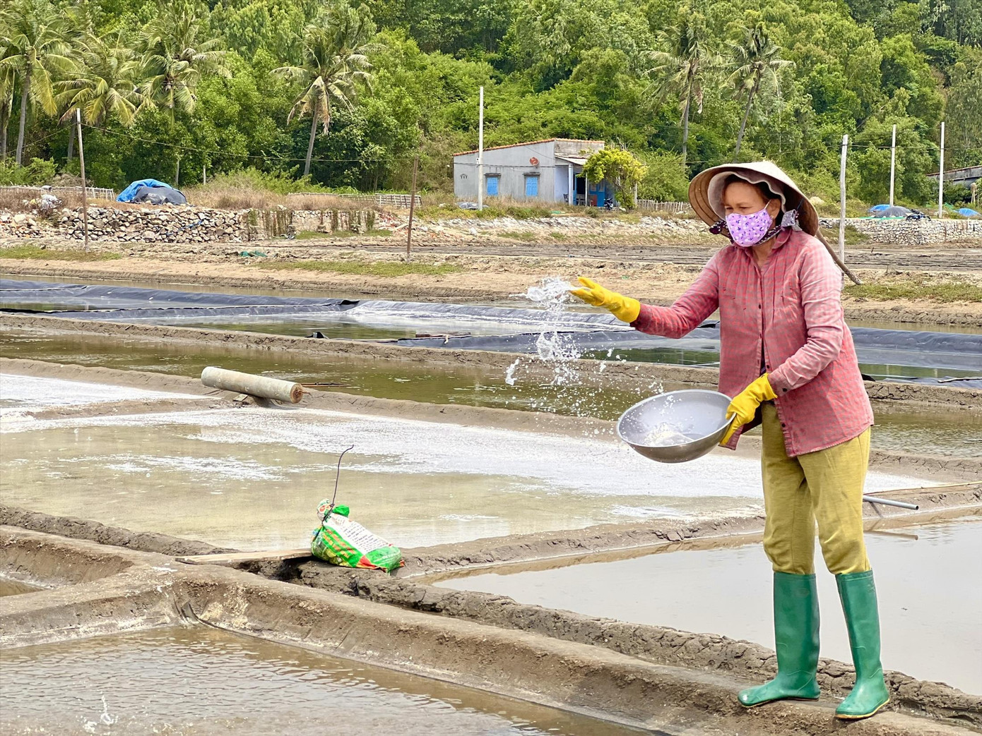 Diêm dân ở phường Phổ Thạnh, thị xã Đức Phổ mưu sinh giữa đồng muối. Ảnh: NN