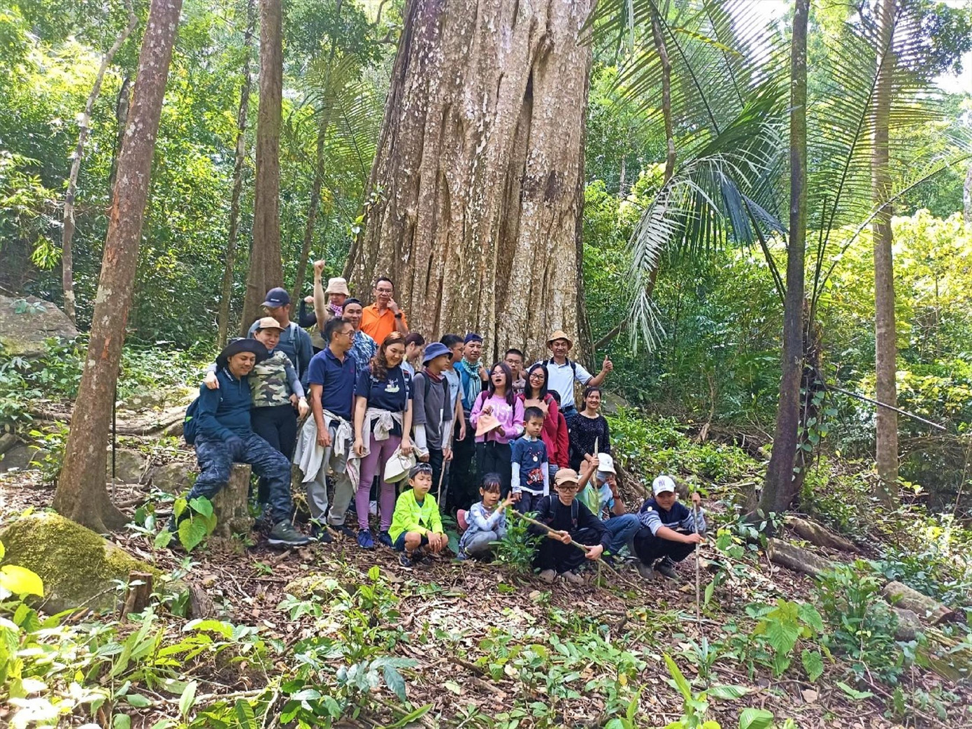 Du khách háo hức tham quan cây di sản