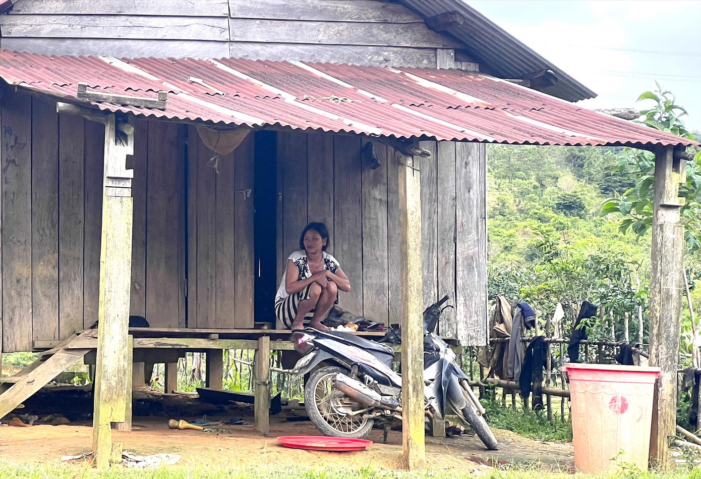 Chị Y Dê tiếc nuối vì lỡ bán đất, giờ không còn nơi canh tác