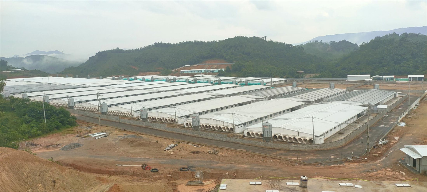 Khu vực trang trại nuôi lợn của Công ty Vina