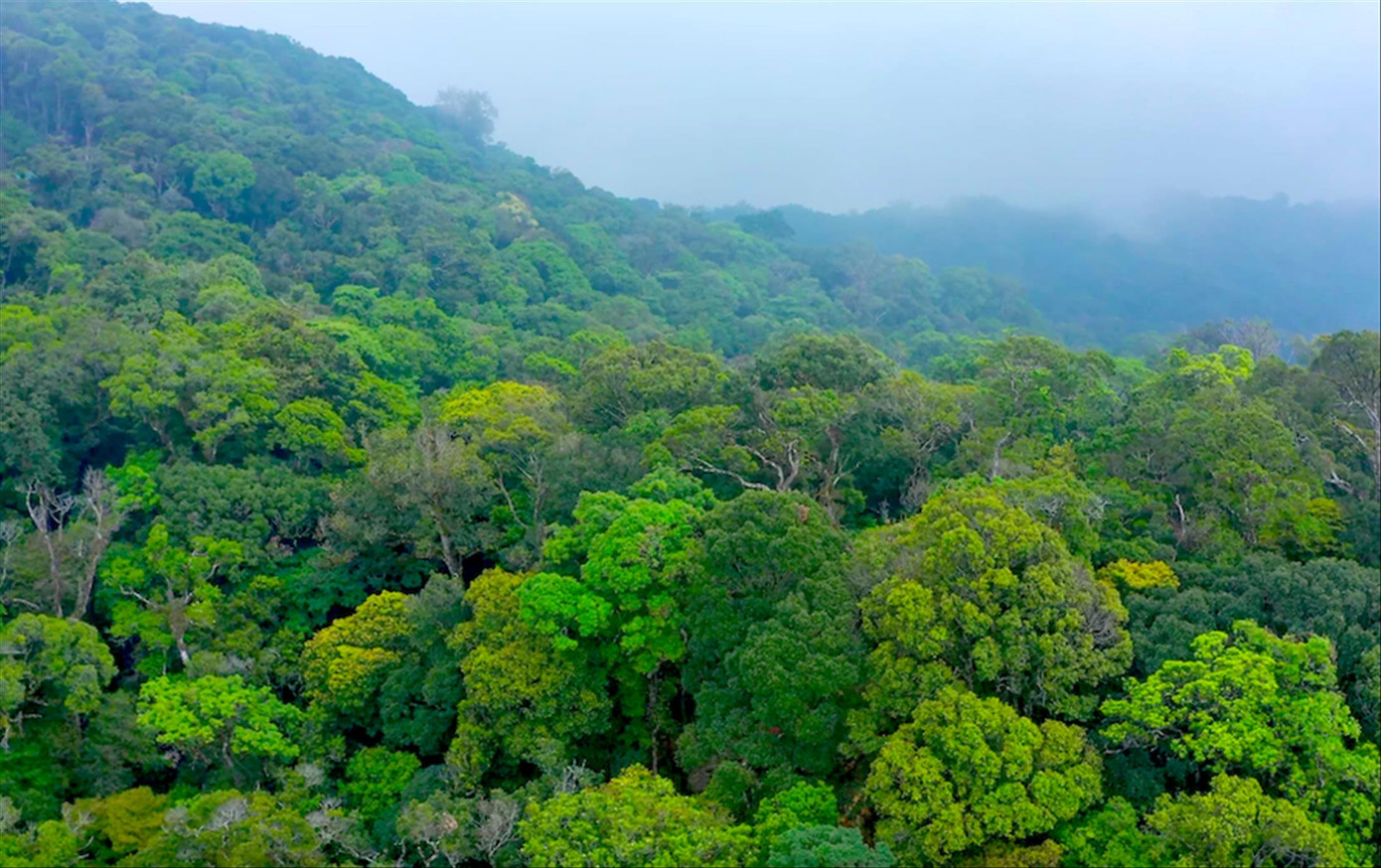 Một góc của dãy núi Ngọc Linh