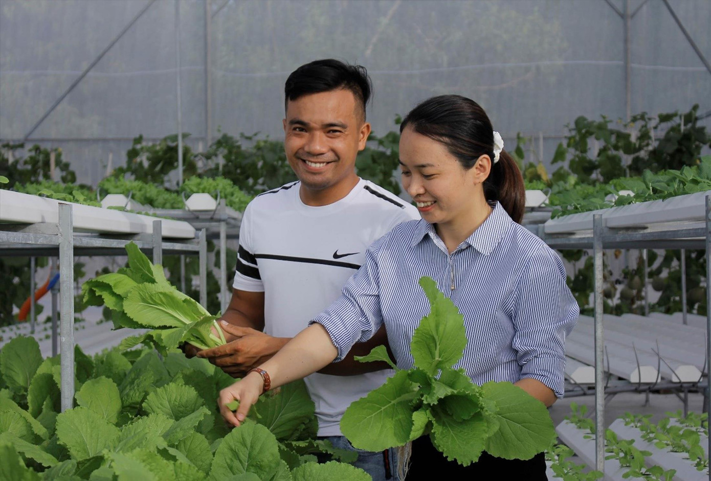 Chị Trang và chồng là anh Nguyễn Quốc Tuấn chăm sóc kỹ càng cho từng luống rau sạchảnh: Thu Loan