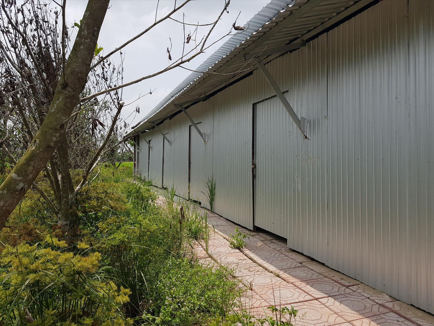 Dãy nhà 6 căn “mọc” trên đất lúa bị cơ quan chức năng xử phạt Dãy nhà 6 căn “mọc” trên đất lúa bị cơ quan chức năng xử phạt