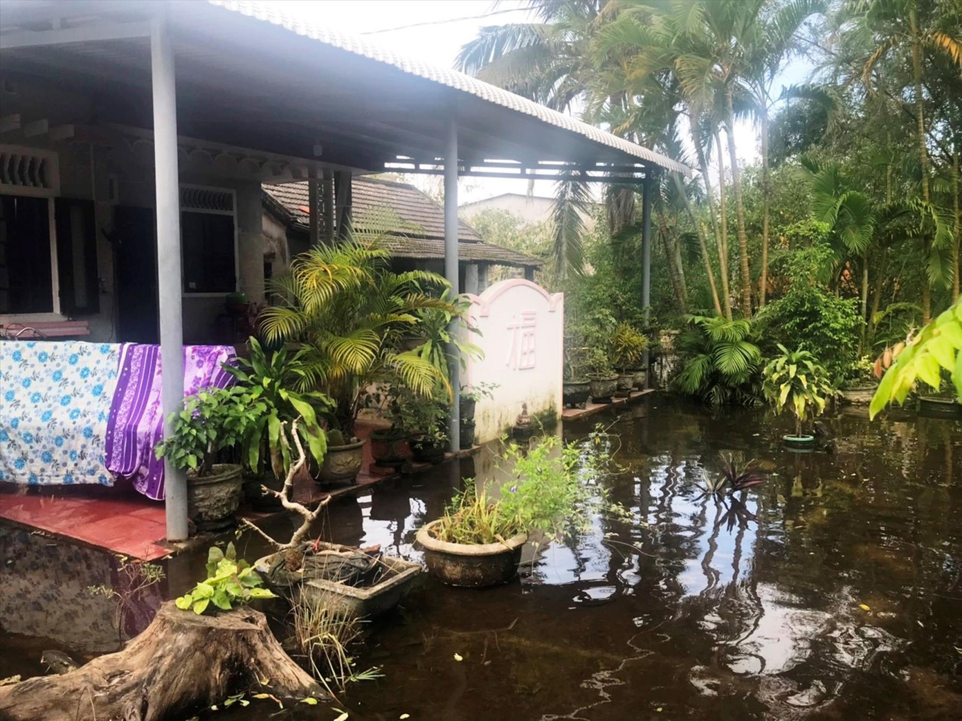 Sau mỗi trận mưa, nhà dân bị ngập úng kéo dài do không có hệ thống thoát nước Sau mỗi trận mưa, nhà dân bị ngập úng kéo dài do không có hệ thống thoát nước