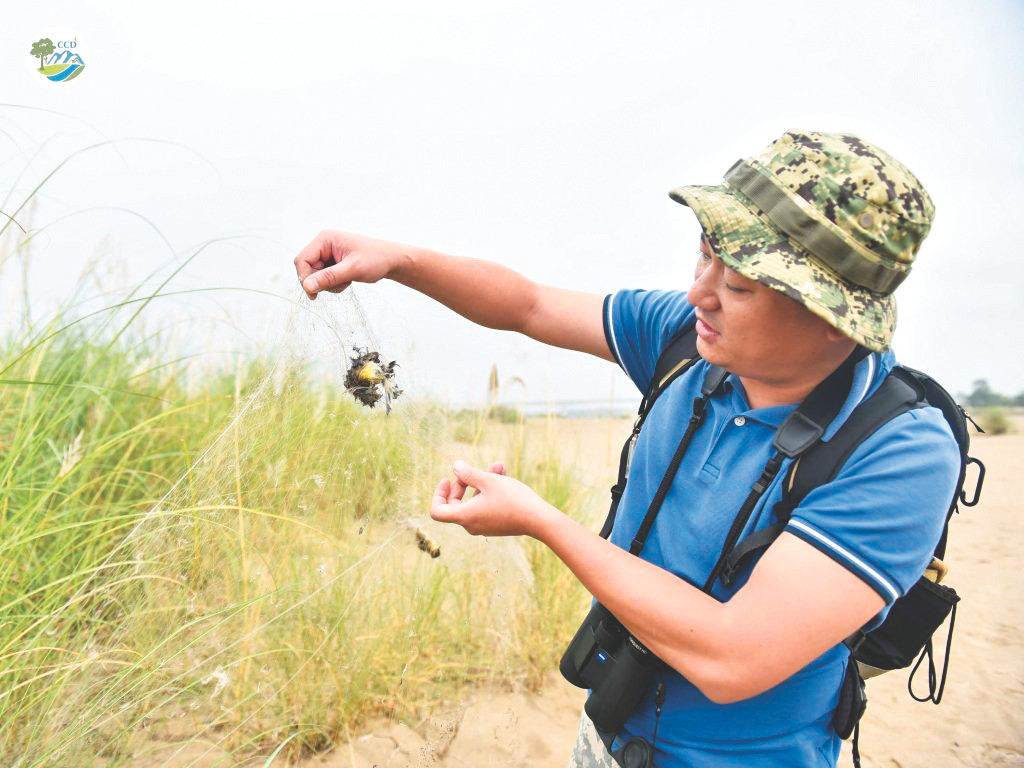 TS Nguyễn Mạnh Hà khảo sát tình trạng giăng lưới bẫy chim tại bãi giữa sông Hồng. Ảnh: CCD