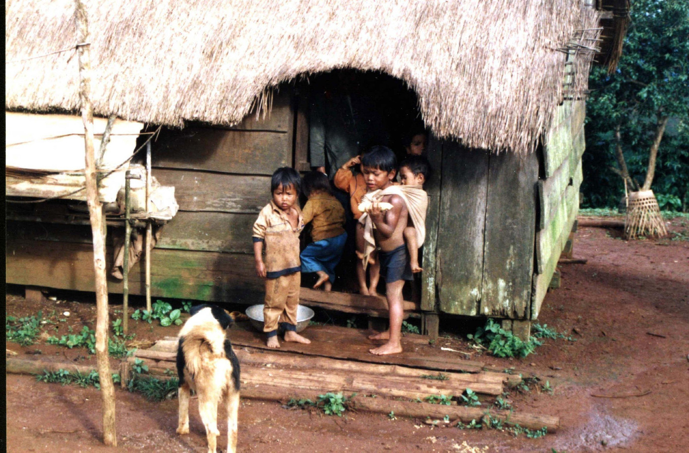 Tảo hôn, hôn nhân cận huyết là một trong những nguyên nhân tăng tỷ lệ đói nghèo trong vùng dân tộc thiểu số