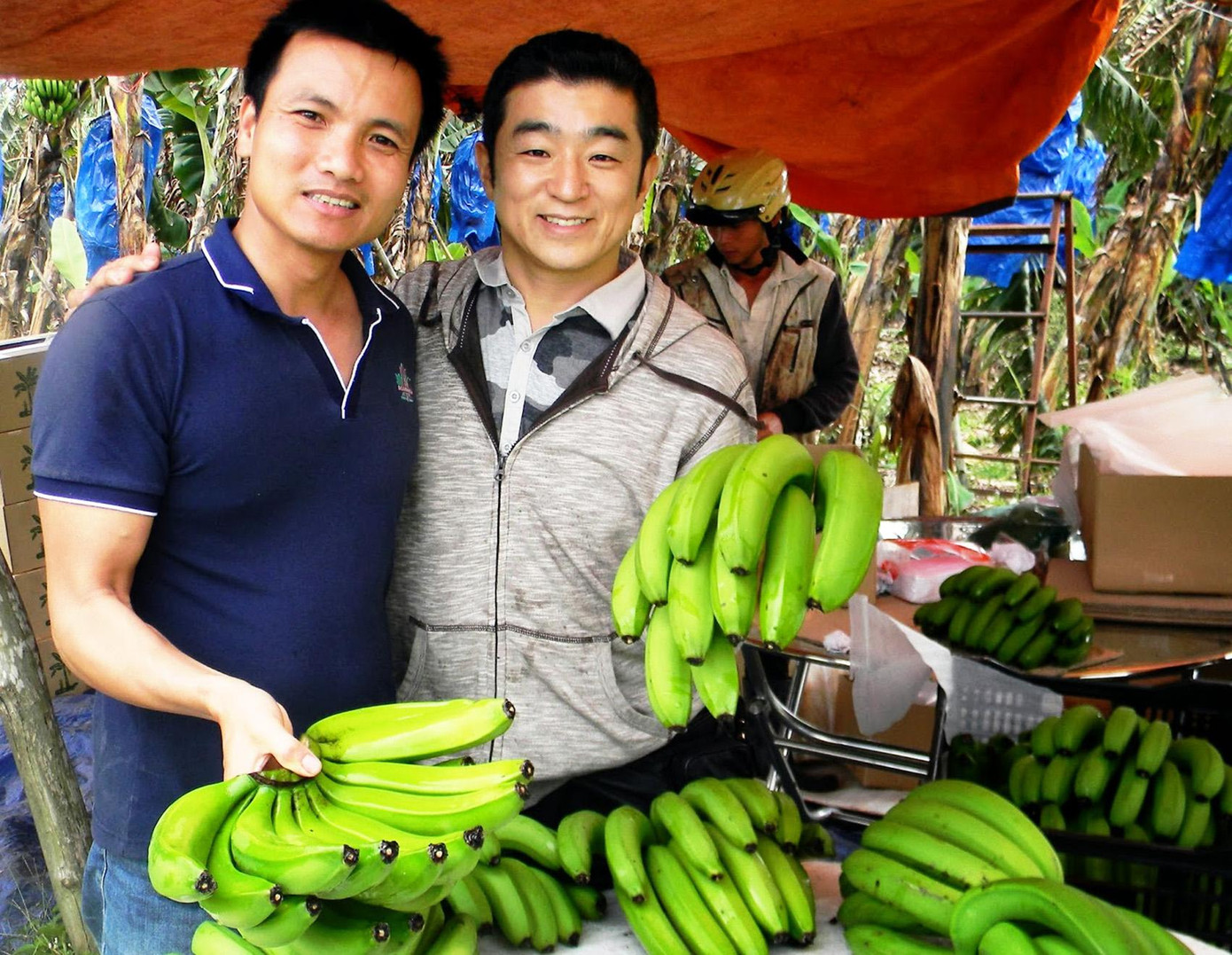 Đối tác Nhật Bản đến tận xã K’Nàng thẩm định chất lượng chuối Laba