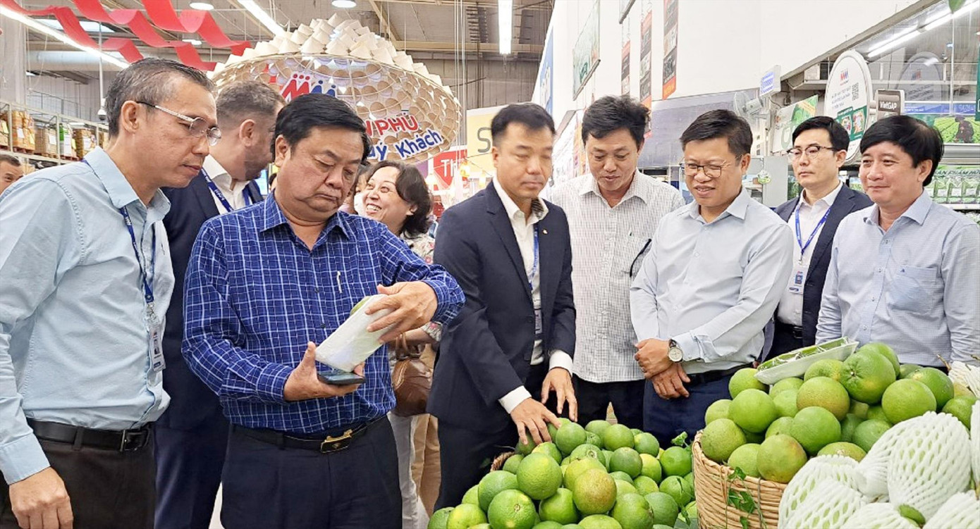 Bộ trưởng Lê Minh Hoan (hàng trên, thứ 2 từ trái sang) trực tiếp kiểm tra chuỗi thực phẩm an toàn tại TPHCM ảnh: Vân Sơn Bộ trưởng Lê Minh Hoan (hàng trên, thứ 2 từ trái sang) trực tiếp kiểm tra chuỗi thực phẩm an toàn tại TPHCM ảnh: Vân Sơn