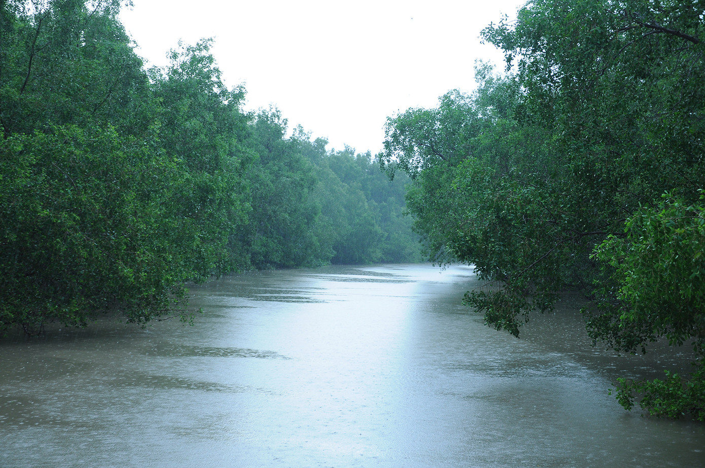 Đi vòng quanh đảo khỉ, khám phá cửa Ba Thắc Ảnh: Cảnh Kỳ