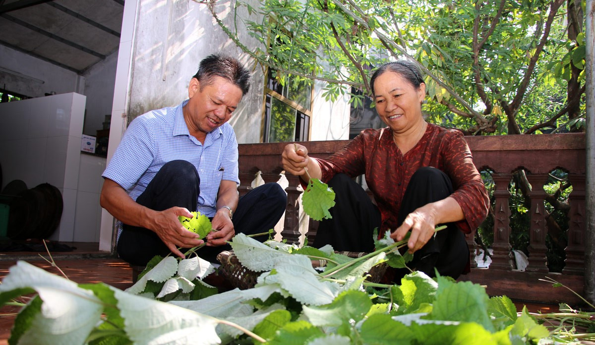 Bà Ngô Thị Khiếu cùng với người em nhặt lá gai chuẩn bị phơi, chế biến bánh gai Bà Ngô Thị Khiếu cùng với người em nhặt lá gai chuẩn bị phơi, chế biến bánh gai