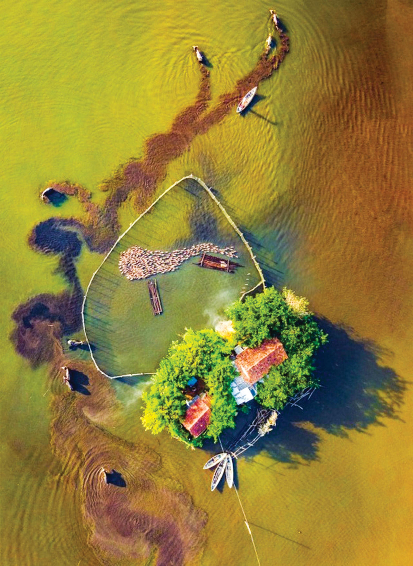 Ngôi nhà hình trái tim giữa sông Diêm Điền. Ảnh: Alex Cao