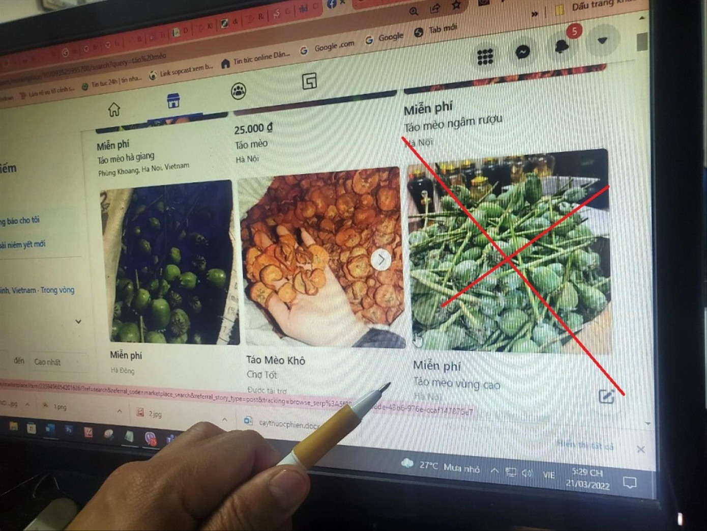 Cây thuốc phiện (anh túc) được rao bán công khai trên mạng xã hội dưới tên gọi là “táo mèo” (Ảnh chụp màn hình)