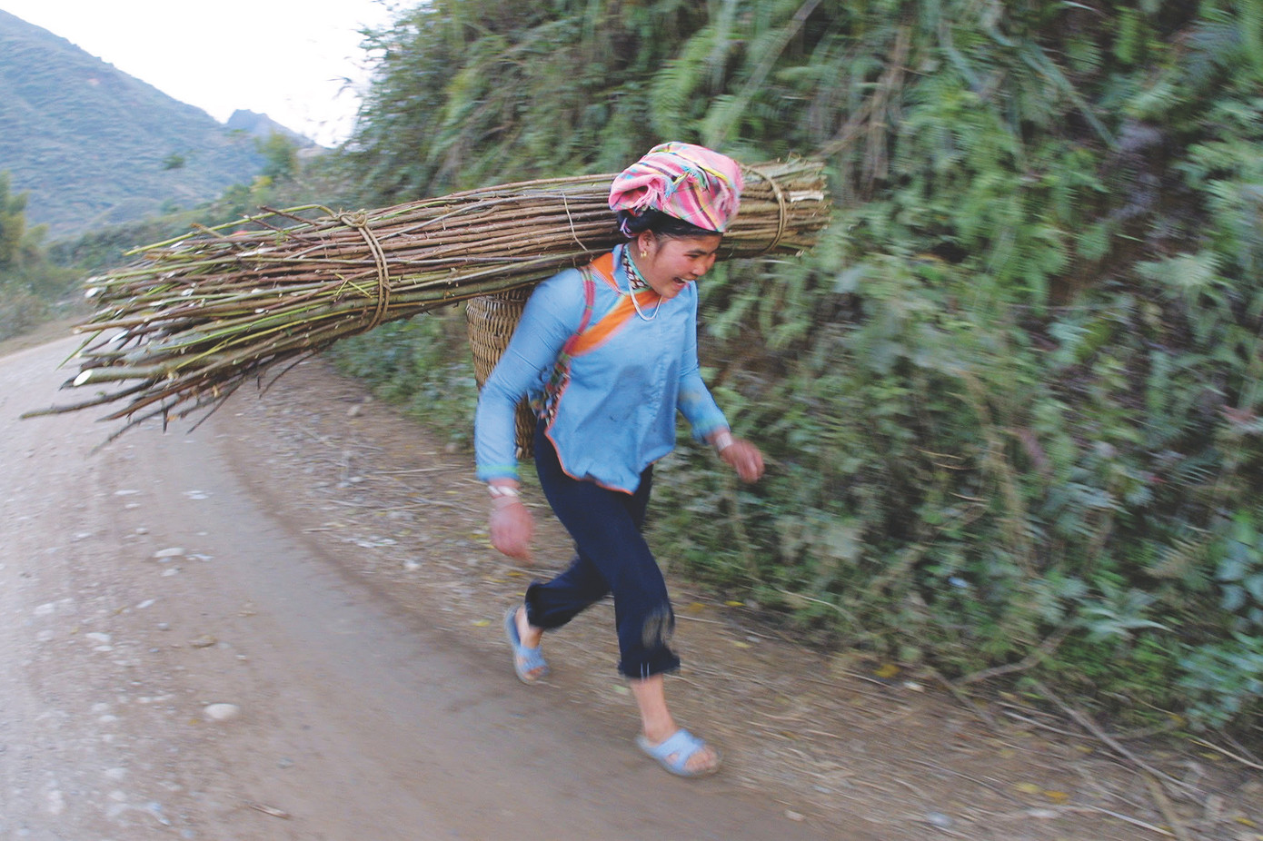 Người phụ nữ người Giáy ở Lào Cai vui vẻ gùi bó củi về nhà để dành cho mùa đông mưa phùn gió bấc Người phụ nữ người Giáy ở Lào Cai vui vẻ gùi bó củi về nhà để dành cho mùa đông mưa phùn gió bấc