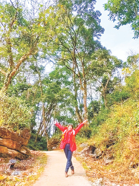 Rừng nguyên sinh bao bọc làng Sảo Há