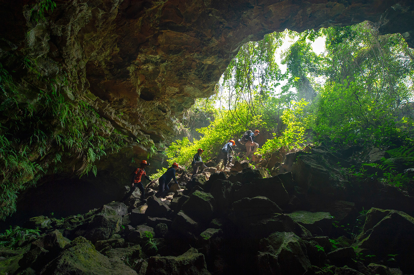 Đoàn chuyên gia khảo sát hang C6.1 Đoàn chuyên gia khảo sát hang C6.1