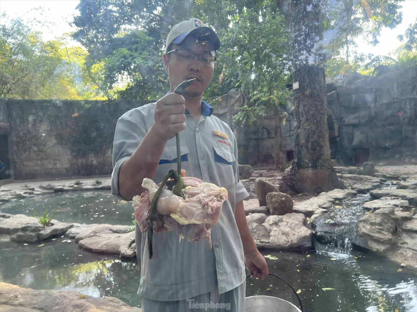 Nhân viên chuẩn bị thức ăn cho hổ. Ảnh: U.P