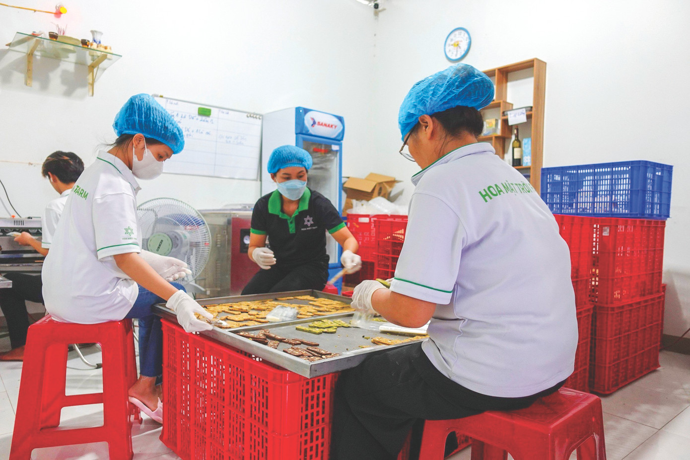 Nhân viên công ty đang chế biến các sản phẩm từ dế