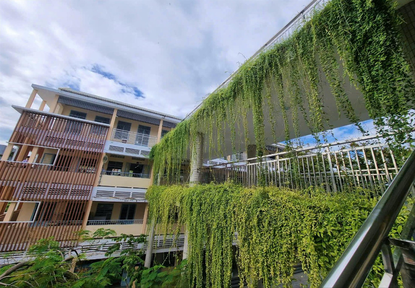 Hành lang nối hai khối nhà của Trường THCS Trần Hưng Đạo ngát xanh, tạo điểm nhấn cho trường. Ảnh: Thanh Hiền Hành lang nối hai khối nhà của Trường THCS Trần Hưng Đạo ngát xanh, tạo điểm nhấn cho trường. Ảnh: Thanh Hiền