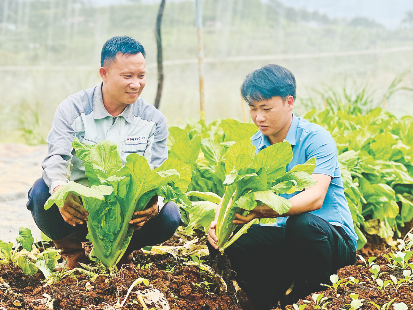 Anh Bùi Ngọc Châu (phải), 1 trong 100 gương mặt “Nông dân Việt Nam xuất sắc năm 2024” Anh Bùi Ngọc Châu (phải), 1 trong 100 gương mặt “Nông dân Việt Nam xuất sắc năm 2024”