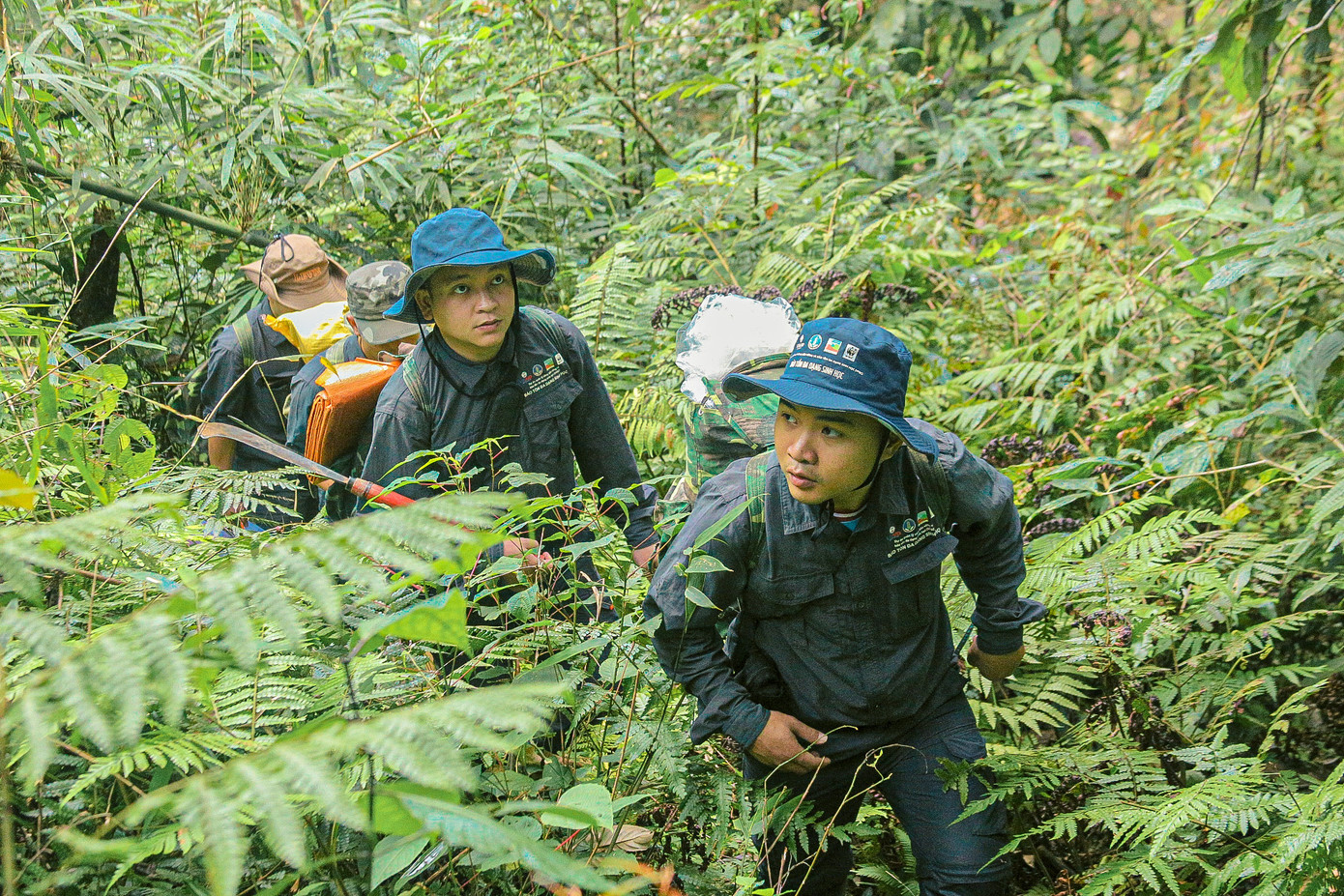 Đội tuần tra, tháo gỡ bẫy xuyên rừng sâu, vượt thác. Ảnh: Duy Quốc