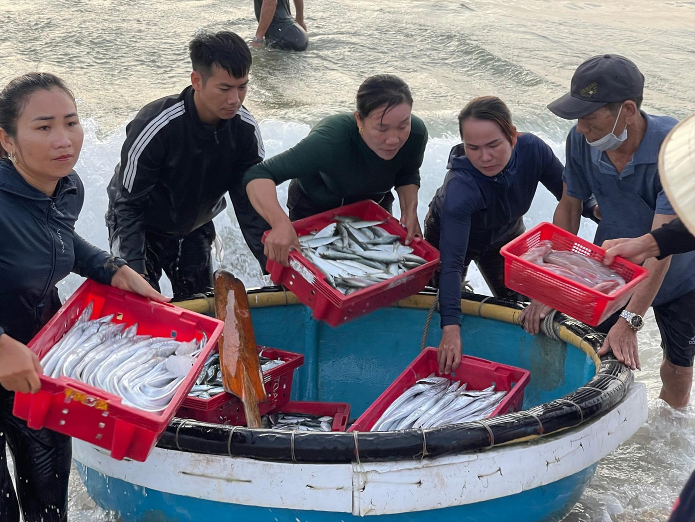 Những mớ cá tươi ròng được chuyển lên bờ Những mớ cá tươi ròng được chuyển lên bờ