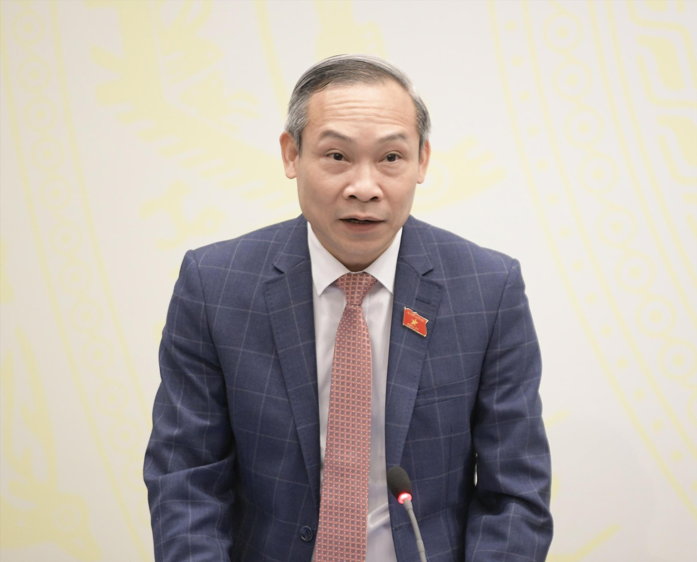 Ủy viên Thường trực Ủy ban Kinh tế Phan Đức Hiếu.