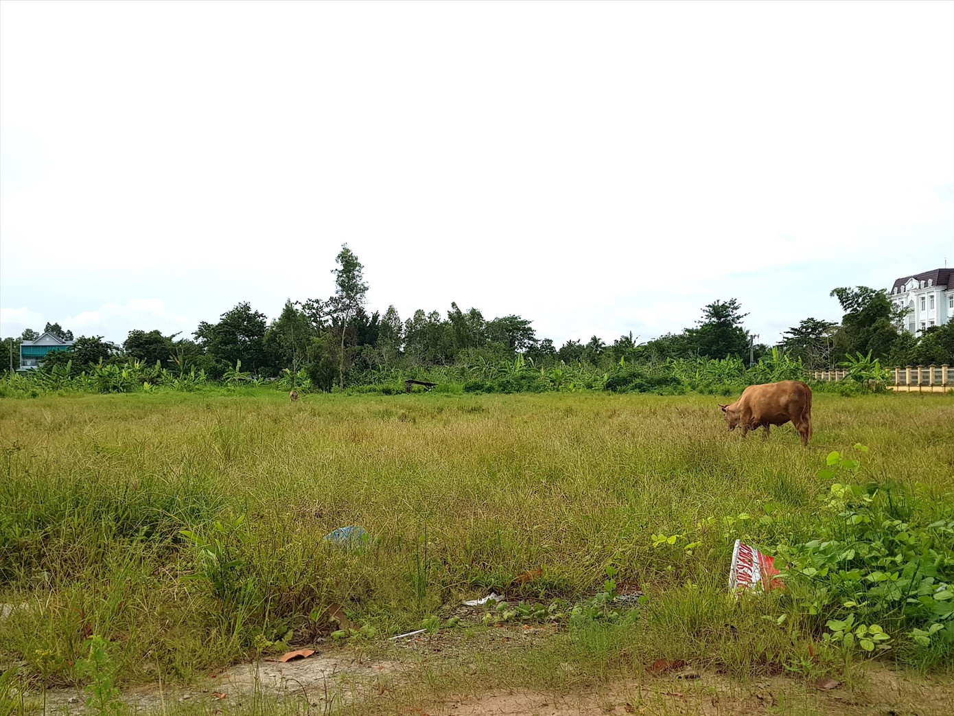 Vị trí giao nhau giữa đường Vành đai phía Tây và Nguyễn Văn Cừ trong tương lai. Ảnh: Nhật Huy