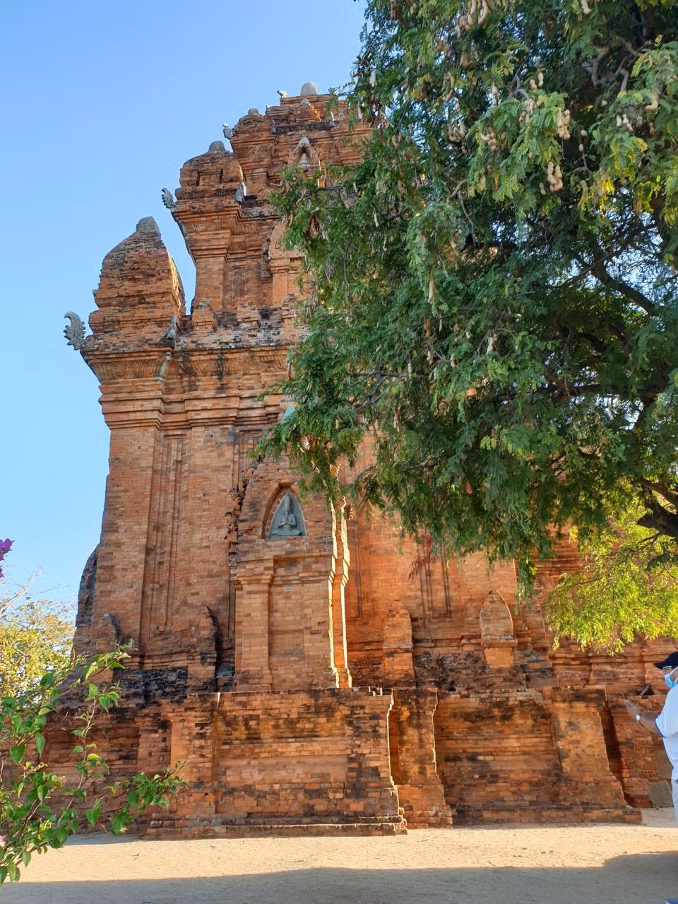 Tháp Chăm Pô Klong Garai ở Ninh Thuận được xây bằng gạch do làng gốm Bàu Trúc nung hầu như không có rêu và địa y