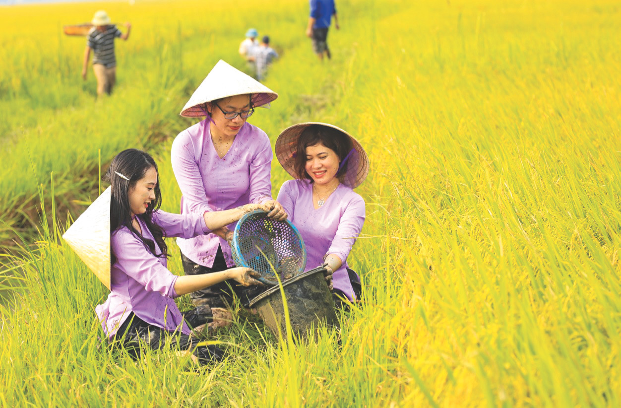 Nữ doanh nhân Phạm Thị Diễm Lệ và niềm vui được mùa