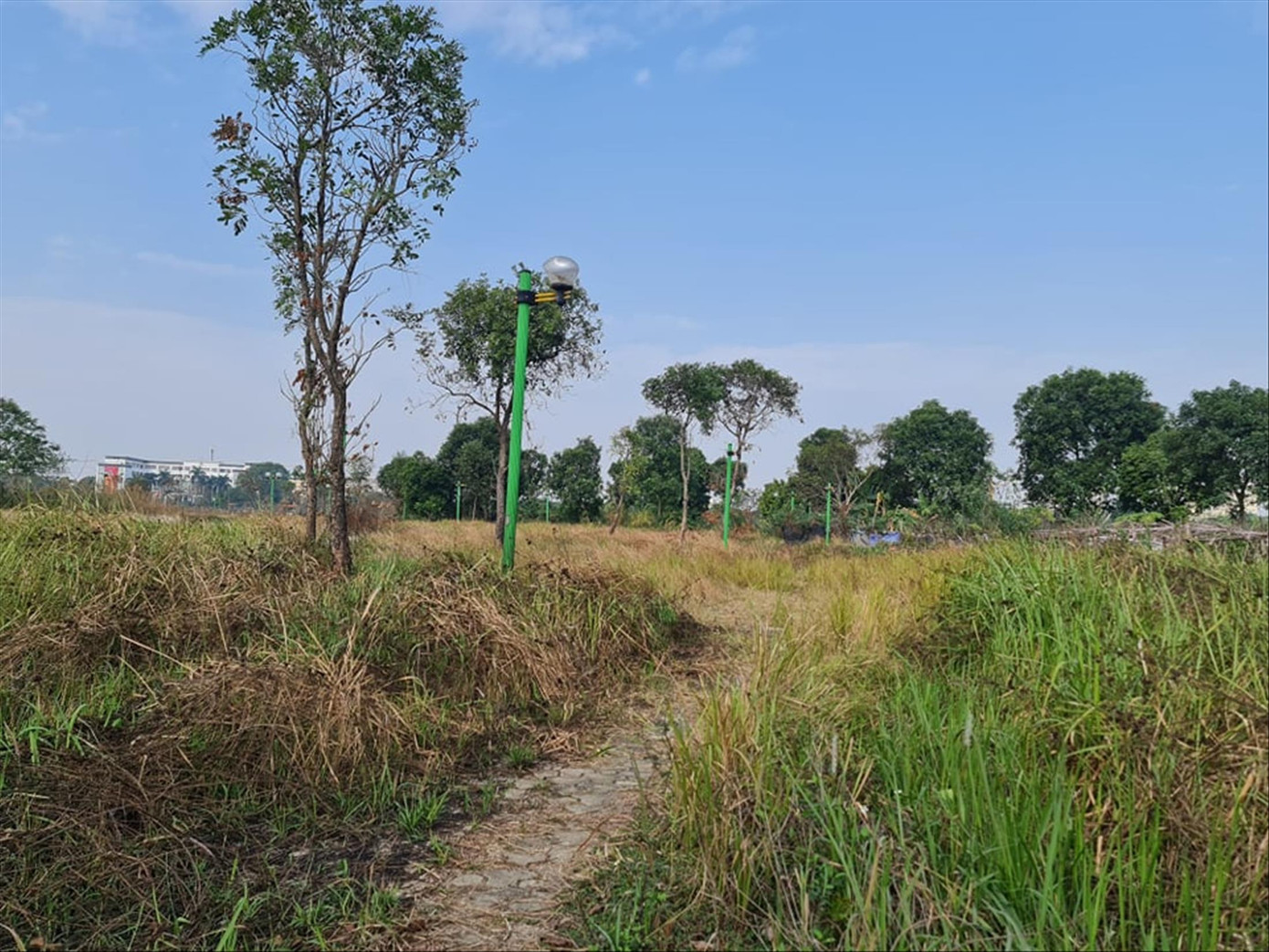 Công viên Việt Hưng cỏ dại mọc quá đầu, các hạng mục xuống cấp nghiêm trọng Công viên Việt Hưng cỏ dại mọc quá đầu, các hạng mục xuống cấp nghiêm trọng