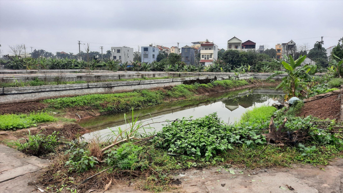 Một khu đất đấu giá tại huyện Đan Phượng, Hà Nội Một khu đất đấu giá tại huyện Đan Phượng, Hà Nội